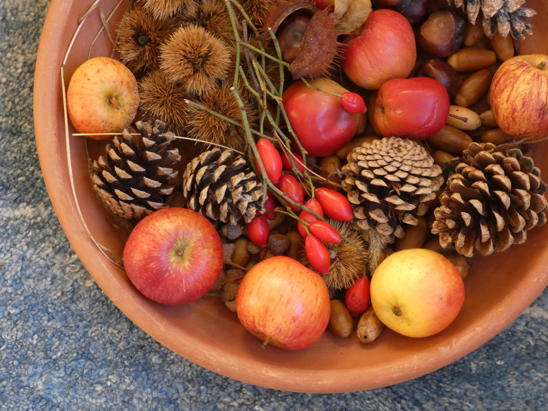 Kiefernzapfen, Maronenhüllen, Hagebutten und Mini-Äpfel von der Streuobstwiese schmücken jetzt drinnen die Wohnung
