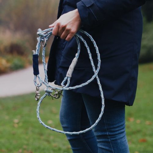 Hundeleine Labrador Sea II (Bild Presseordner Bracenet)