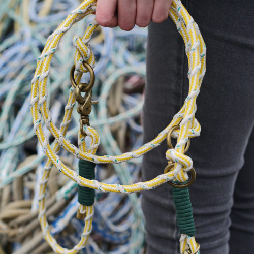 Hundeleine Labrador Sea (Bild Presseordner Bracenet)